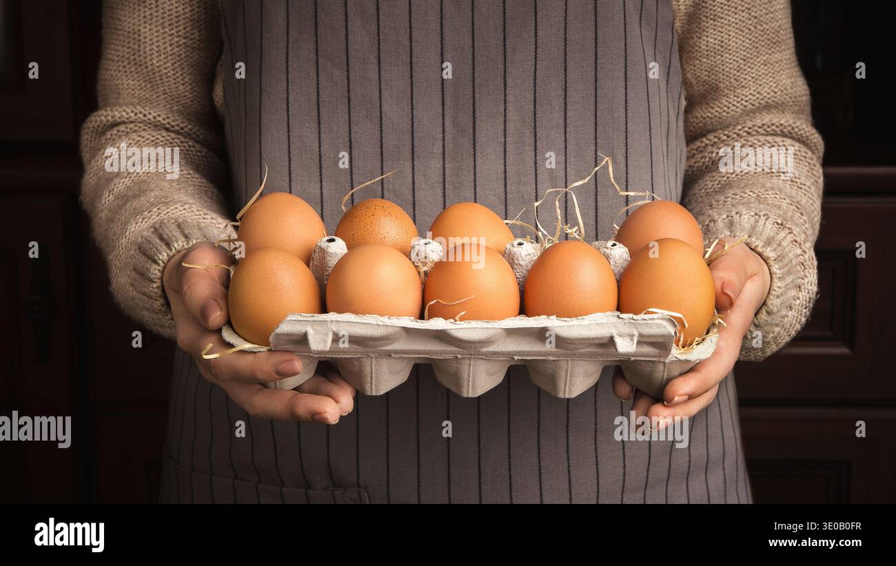 Frauenhände halten Hühnereier Stockfoto