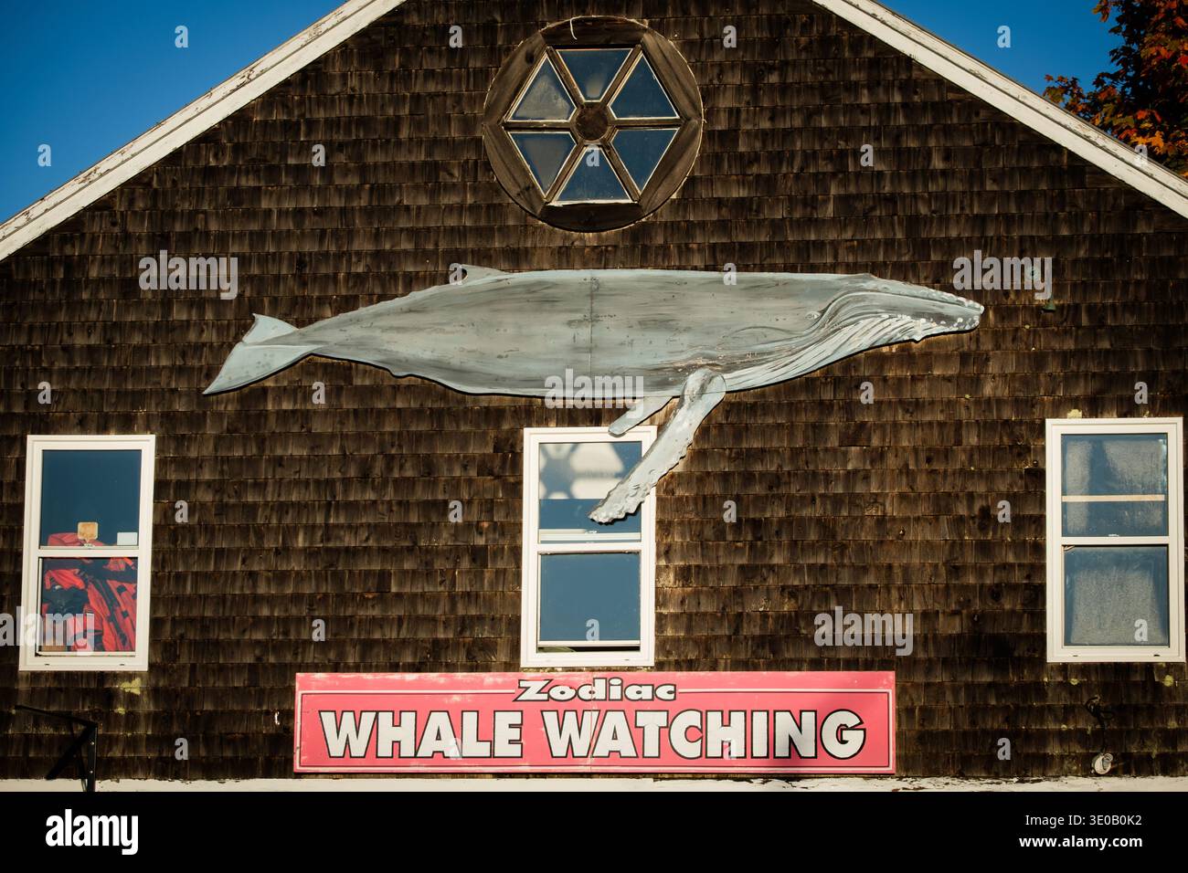 Whale-Watch-Schild an einem Gebäude neben dem Hafen in St. Andrews, New Brunswick, Kanada. Stockfoto