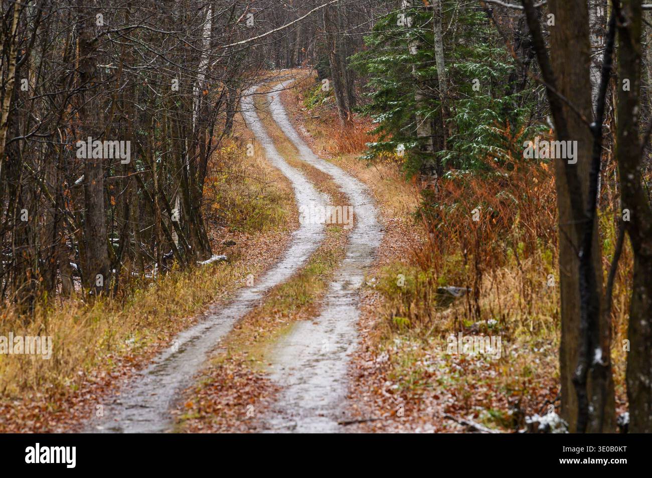 Im Herbst (Herbst) windet sich die Straße durch ein bewaldetes Gebiet von Roxbury, Vermont, USA. Stockfoto