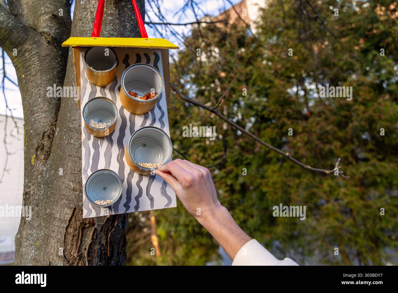 Hängende Vogelfütterung an Baum mit Hand. Nahaufnahme einer Person, die Samen zu einem handgefertigten hängenden Vogelfutterhäuschen im Freien hinzufügte, um Vogelpflege im Hinterhof zu zeigen und Stockfoto