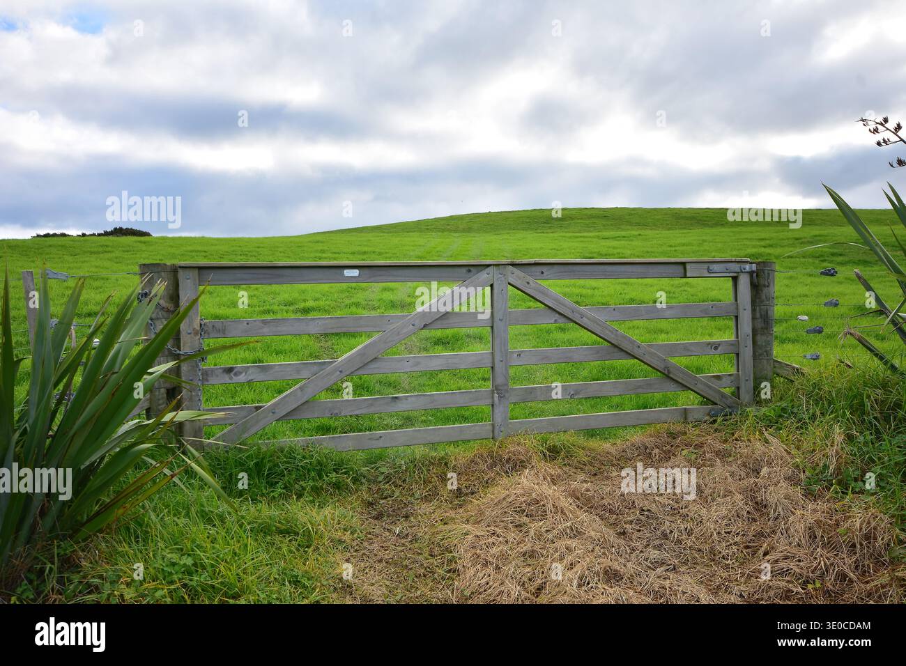 Traditionelles Tor für schwere Holzbauernhölzer, das den Eingang zum grünen Fahrerlager schützt. Lage: Auckland Neuseeland Stockfoto