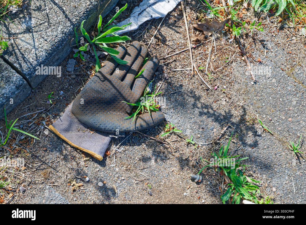 Ein einziger benutzter Gartenhandschuh liegt auf trockenem Boden, umgeben von kleinen Pflanzen, Gras und Ablagerungen in der Nähe einer Betonkante im Freien. Stockfoto