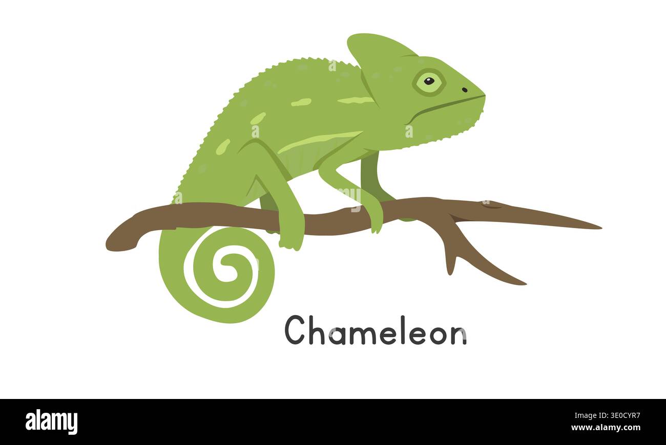 Chamäleon auf einem Baumzweig Vektor Illustration, Zeichentrick Clipart Charakter, Tier in flacher Art. Wilde Tiere, wilde Lebewesen, Tierkonzept Stock Vektor