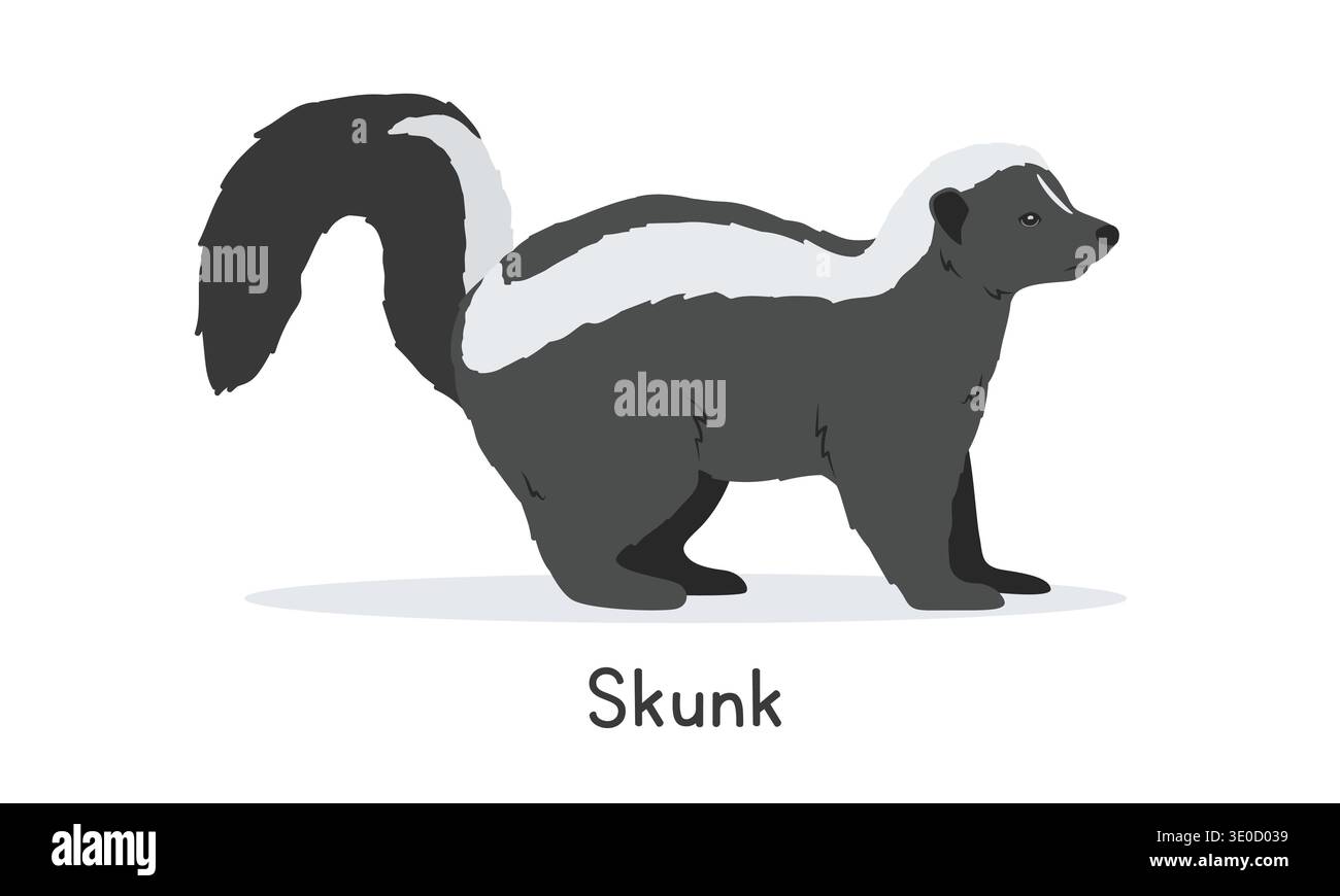 Gestreifte Skunk Vektor Illustration, Cartoon Clipart Charakter, Tier in flacher Art. Wilde Tiere, wilde Lebewesen, Tierkonzept. Niedlicher Skunk-Vektor Stock Vektor