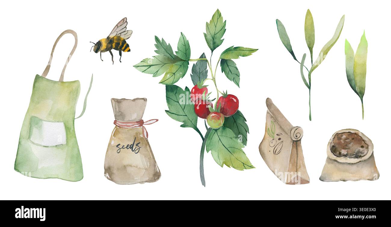 Blumengarten mit Tomatenpflanze und Schürze Aquarell Clipart Stockfoto