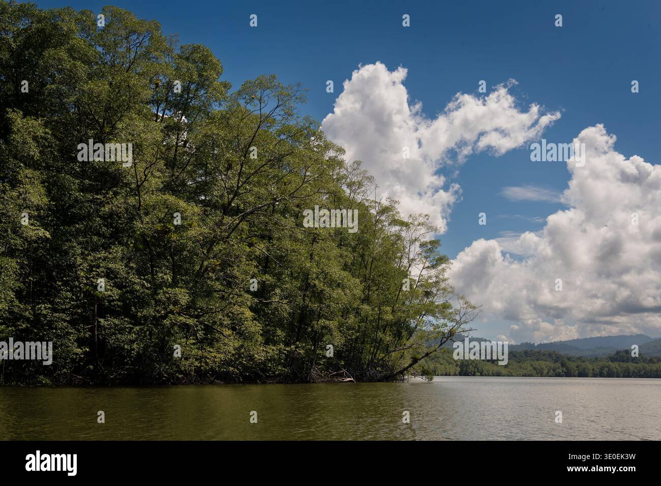 Landschaft des Flusses Sierpe, Osa Pensinsula, Costa Rica Stockfoto