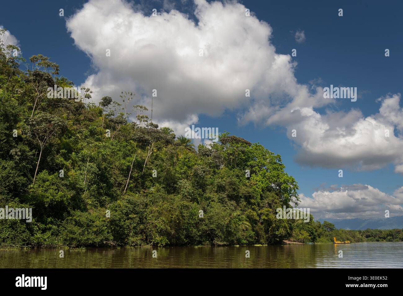 Landschaft des Flusses Sierpe, Osa Pensinsula, Costa Rica Stockfoto