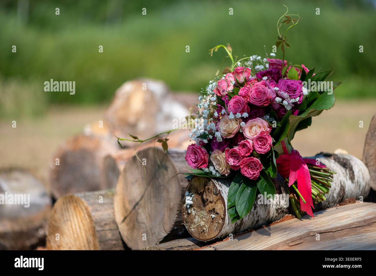 Elegantes rosa und cremefarbene Rosenstrauß, das draußen bei natürlichem Sonnenlicht auf gestapelten Holzstämmen mit weichem, unscharfem Hintergrund ruht. Stockfoto