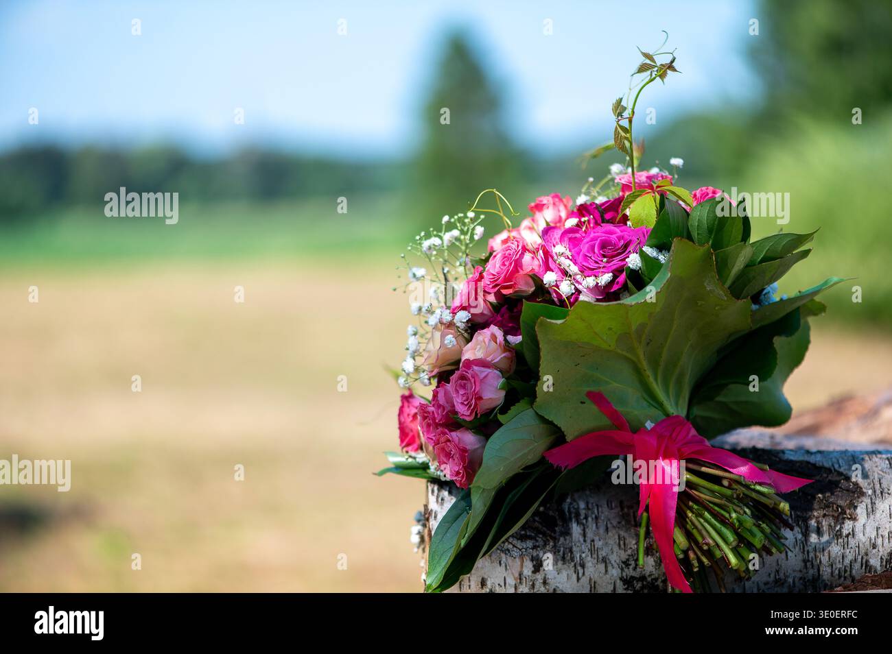 Hochzeitsstrauß mit rosafarbenen und cremefarbenen Rosen auf hölzernem Baumstamm in offener Wiese mit weichem Sommerhintergrund. Stockfoto