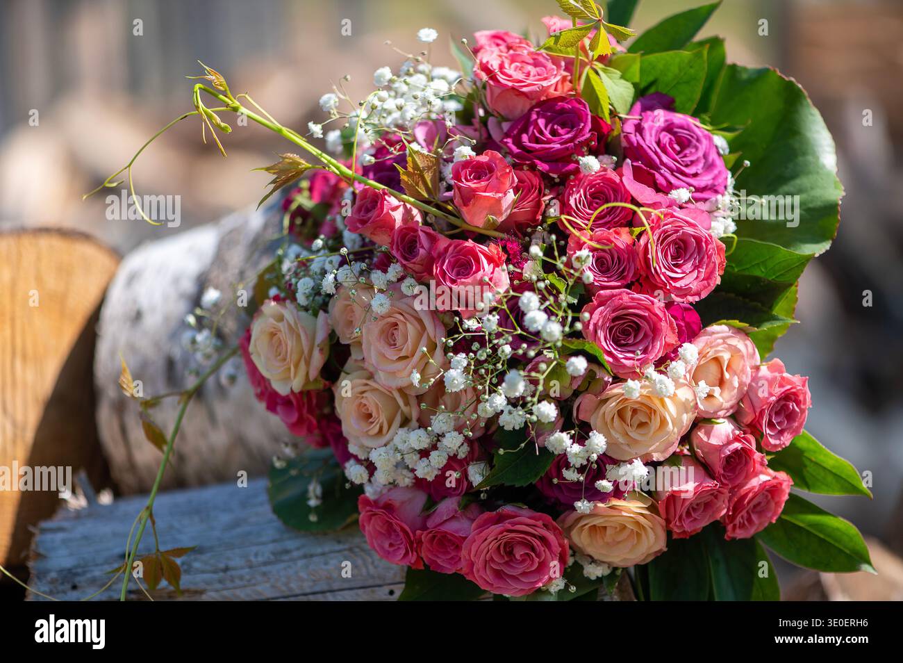 Heller Hochzeitsstrauß aus rosa und cremefarbenen Rosen auf gereifter Holzoberfläche bei warmem, direktem Sonnenlicht. Stockfoto