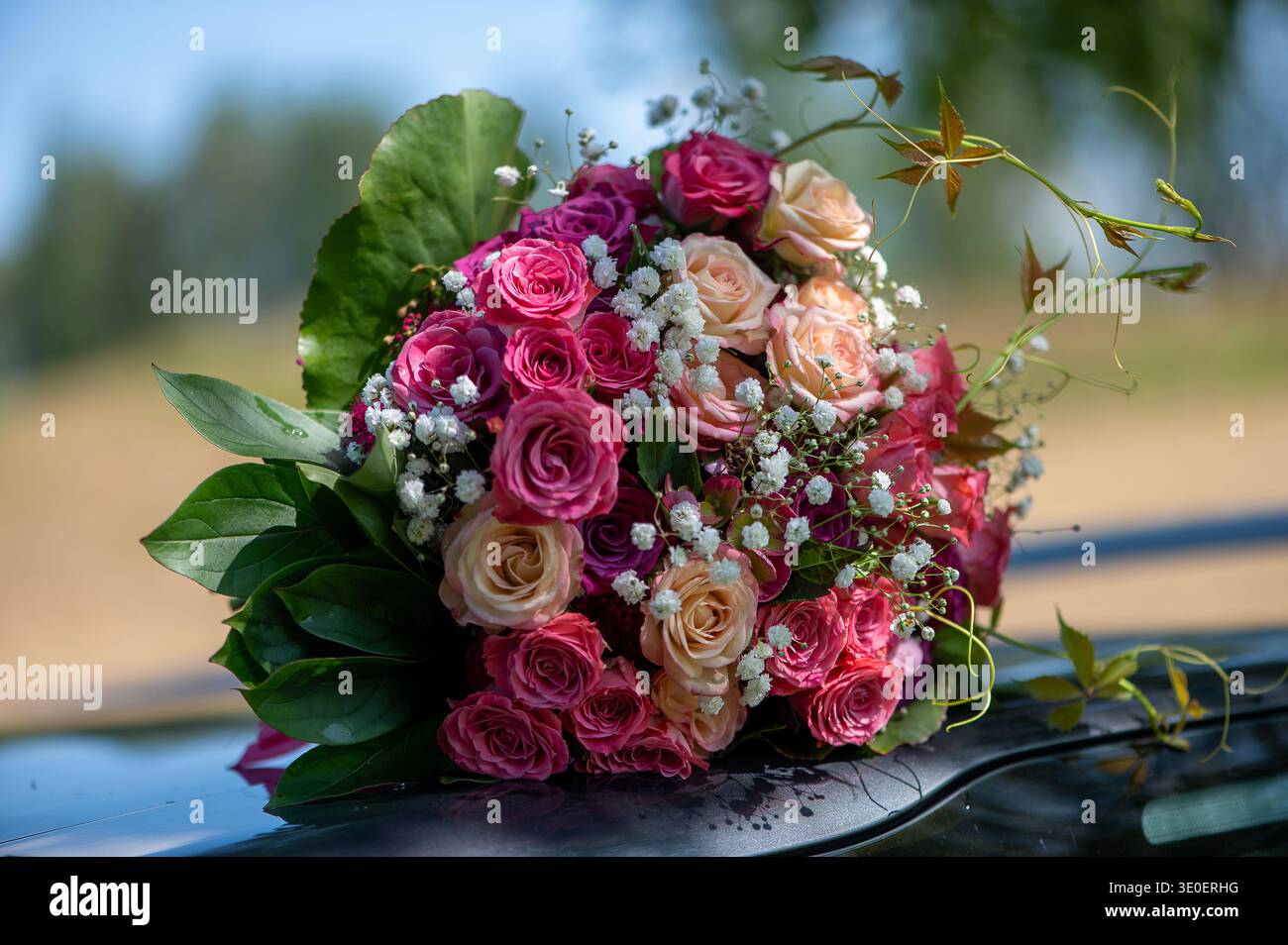 Romantischer Rosenstrauß auf einer Autooberfläche mit weicher Landschaft im Hintergrund, die eine luftige Hochzeitsstimmung im Freien schafft. Stockfoto