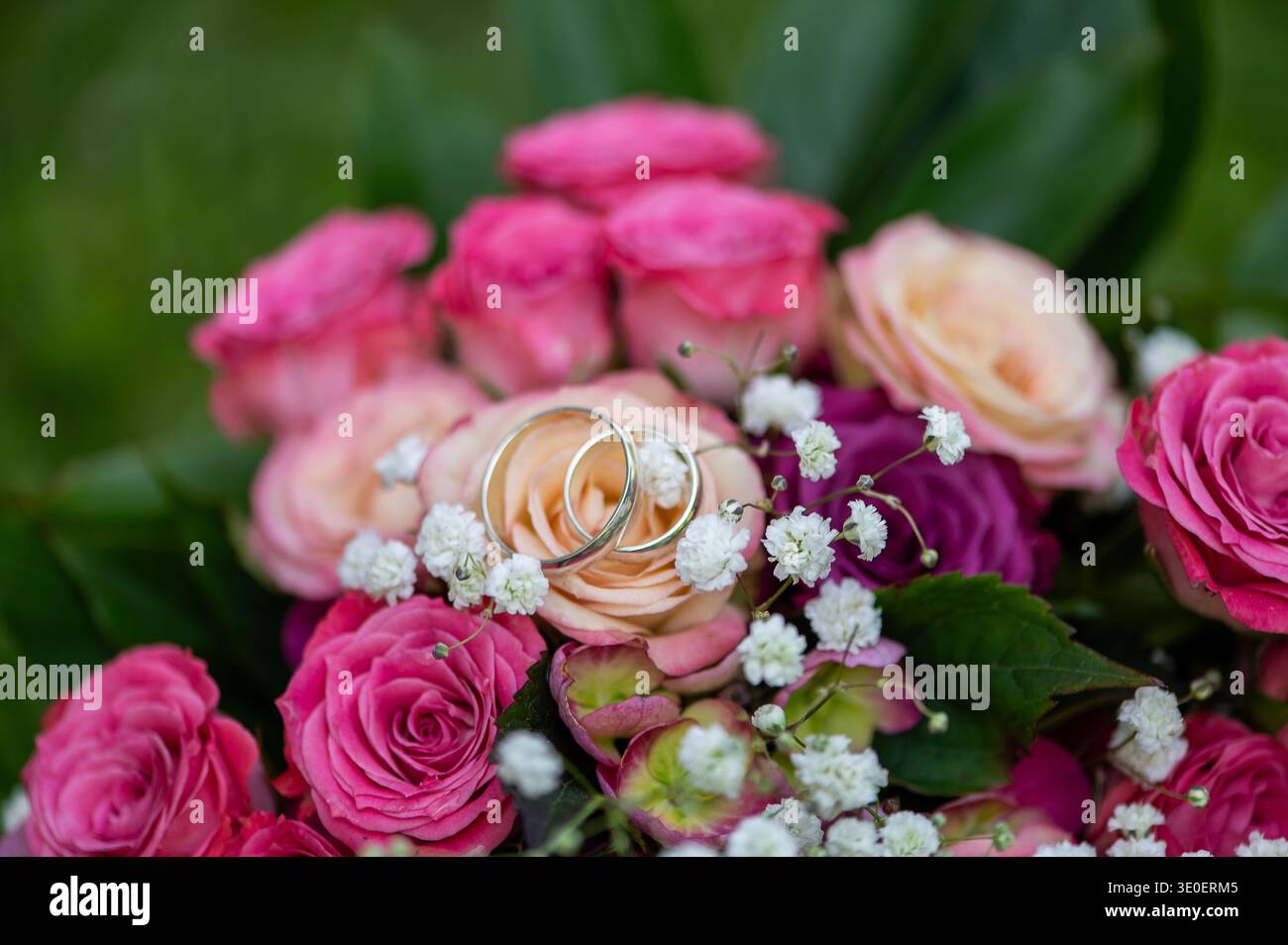 Zwei silberne Eheringe, die auf einem romantischen rosa Rosenstrauß ruhen, symbolisieren Liebesbindung und Hochzeitsfeier. Stockfoto