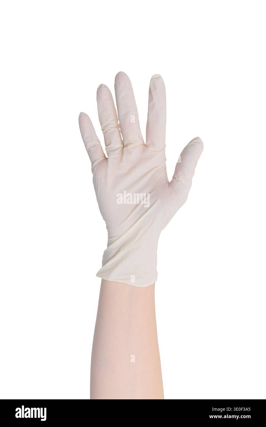 Handtragender medizinischer Latexhandschuh isoliert auf weißem Hintergrund, Konzept der Gesundheitshygiene, medizinischer Schutz und sterile Sicherheit Stockfoto