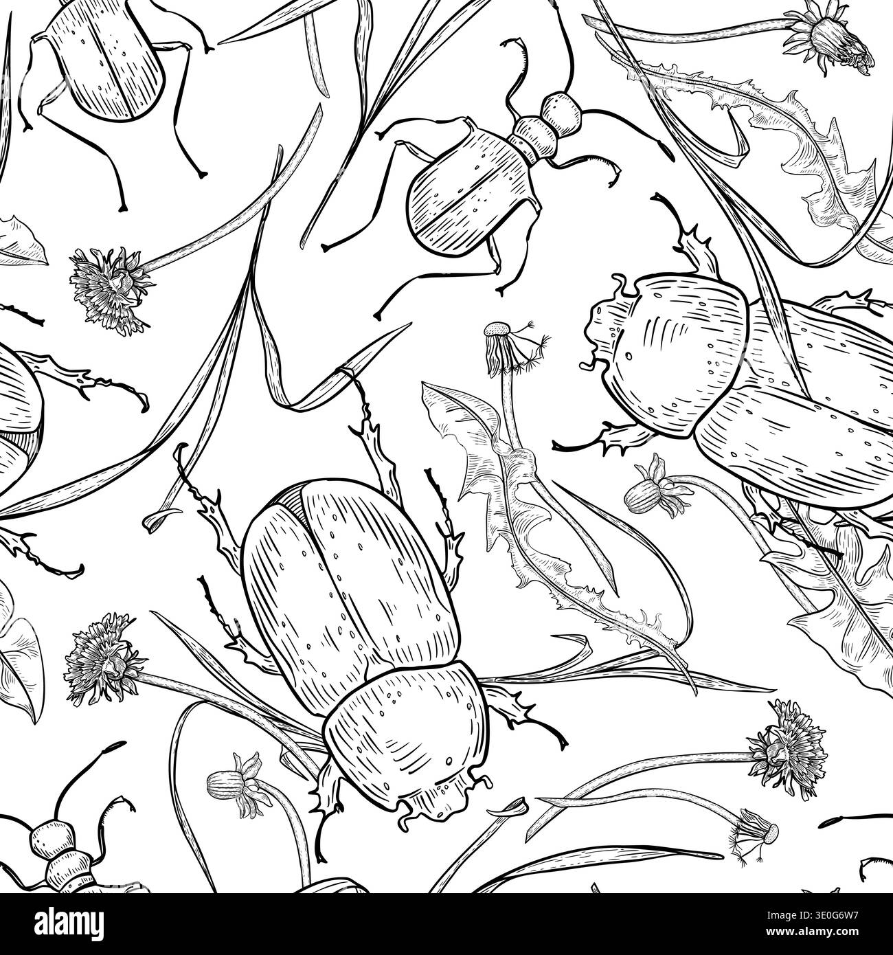 Nahtloses Muster mit Käfern und Löwenzahn Blumen Vektor-Umriss. Handgezeichnete Schwarz-weiß-Illustration von Insekten und Wildpflanzen. Dekorativ Stock Vektor