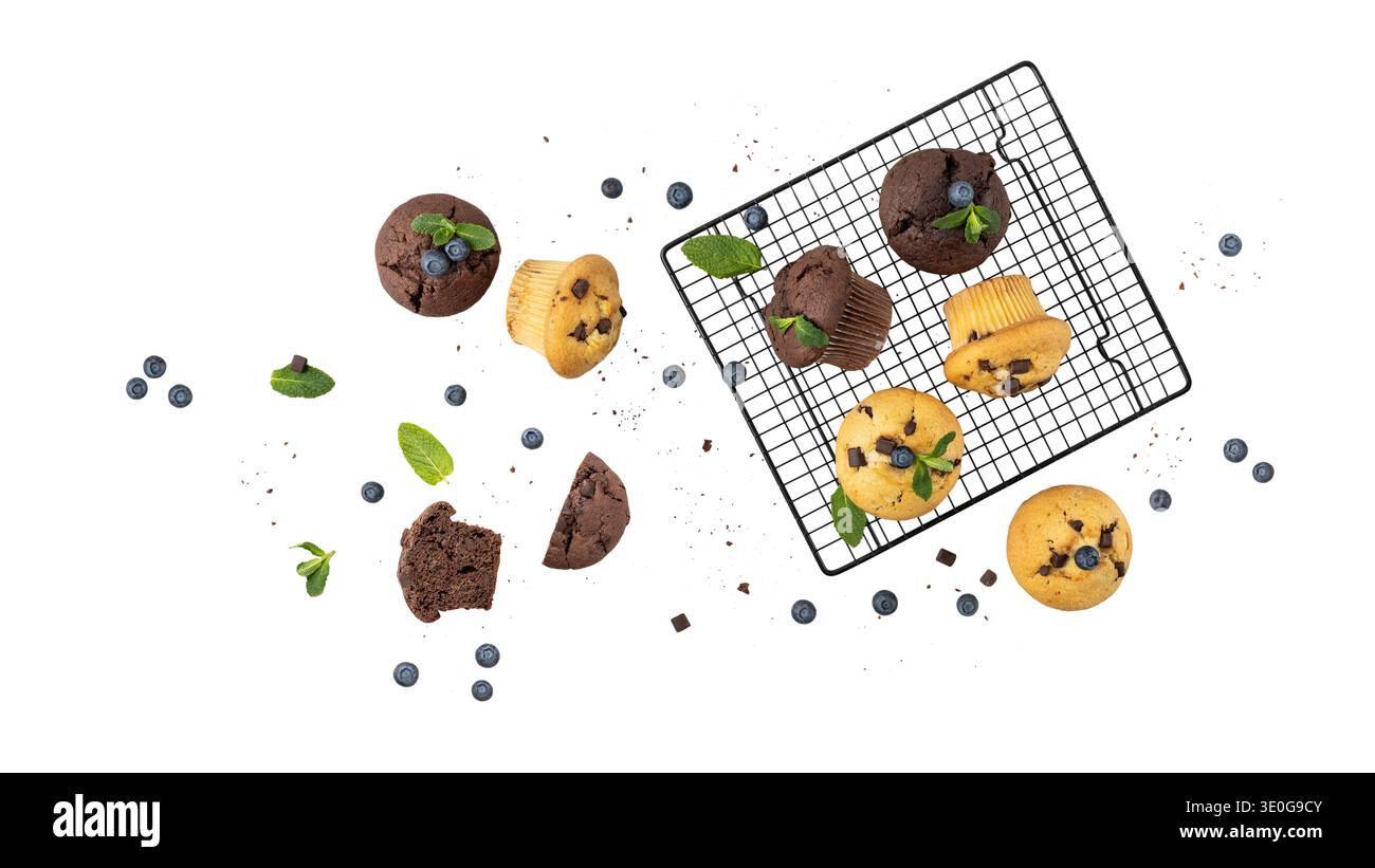 Frisch gebackene Muffins mit Schokoladenchips, Heidelbeeren und Minzblättern auf Backblech isoliert auf weißem Hintergrund. Schokoladen-Cupcake-Nahaufnahme A Stockfoto