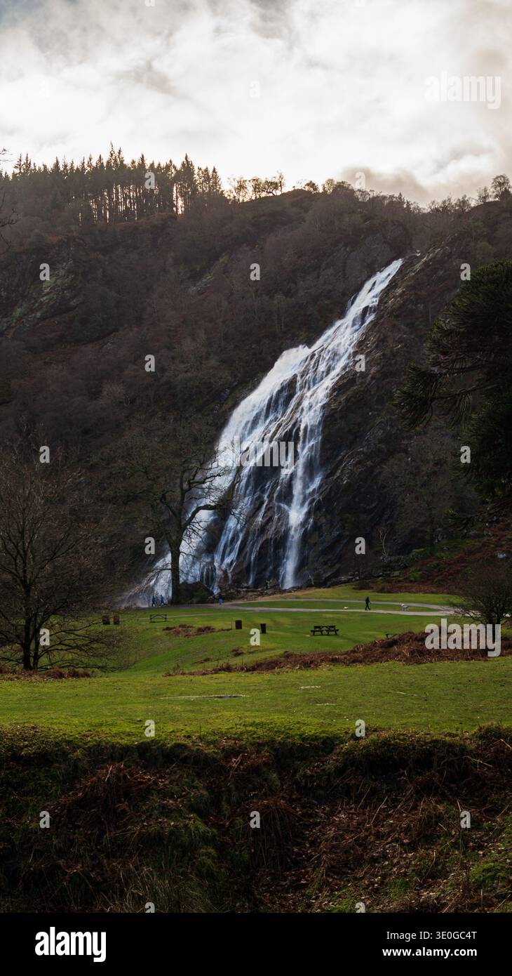 Vertikale Aufnahme des Waldwasserfalls Powerscourt-Stil Irland Stockfoto