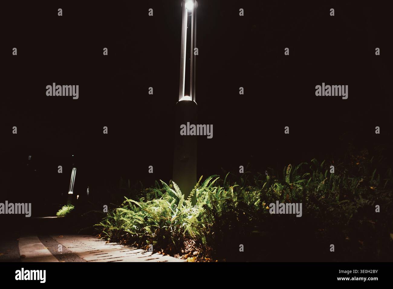 Nächtlicher Stadtweg beleuchtet von moderner Straßenlaterne mit üppigen grünen Farnen in Singapur Stockfoto