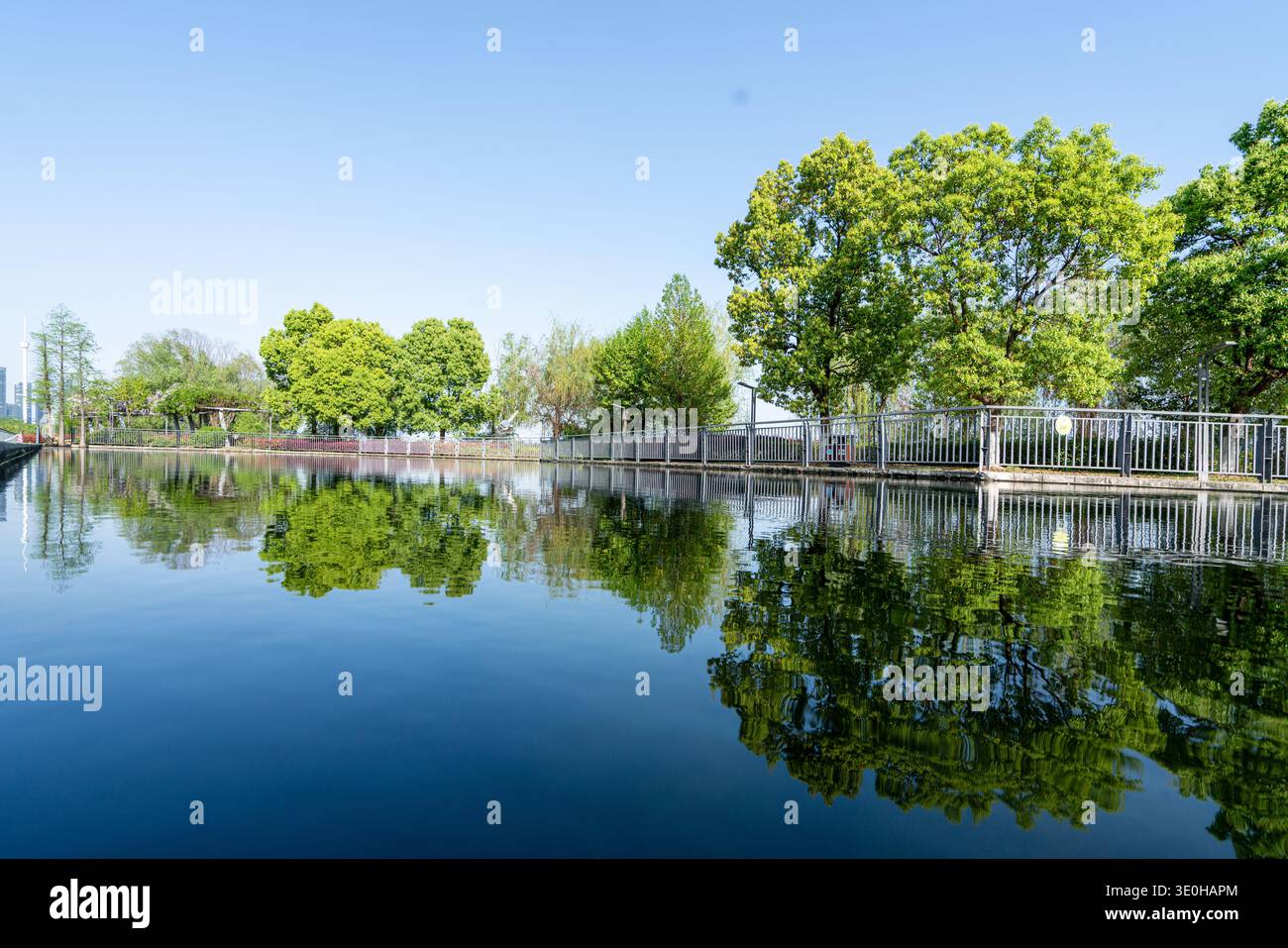 Ein ruhiger See mit üppig grünen Bäumen in einem sonnigen Stadtpark. Das Bild vermittelt eine ruhige Landschaft und Schönheit der Natur. Hochwertige Fotos Stockfoto