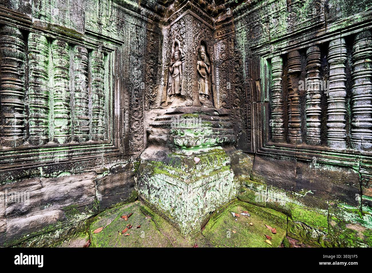 Alte Steinschnitzereien von Apsaras im Ta Prohm Tempel zeigen die Kunst der Khmer. Die Schnitzereien sind mit leuchtendem grünem Moos bedeckt, was ihr Alter unterstreicht. Stockfoto