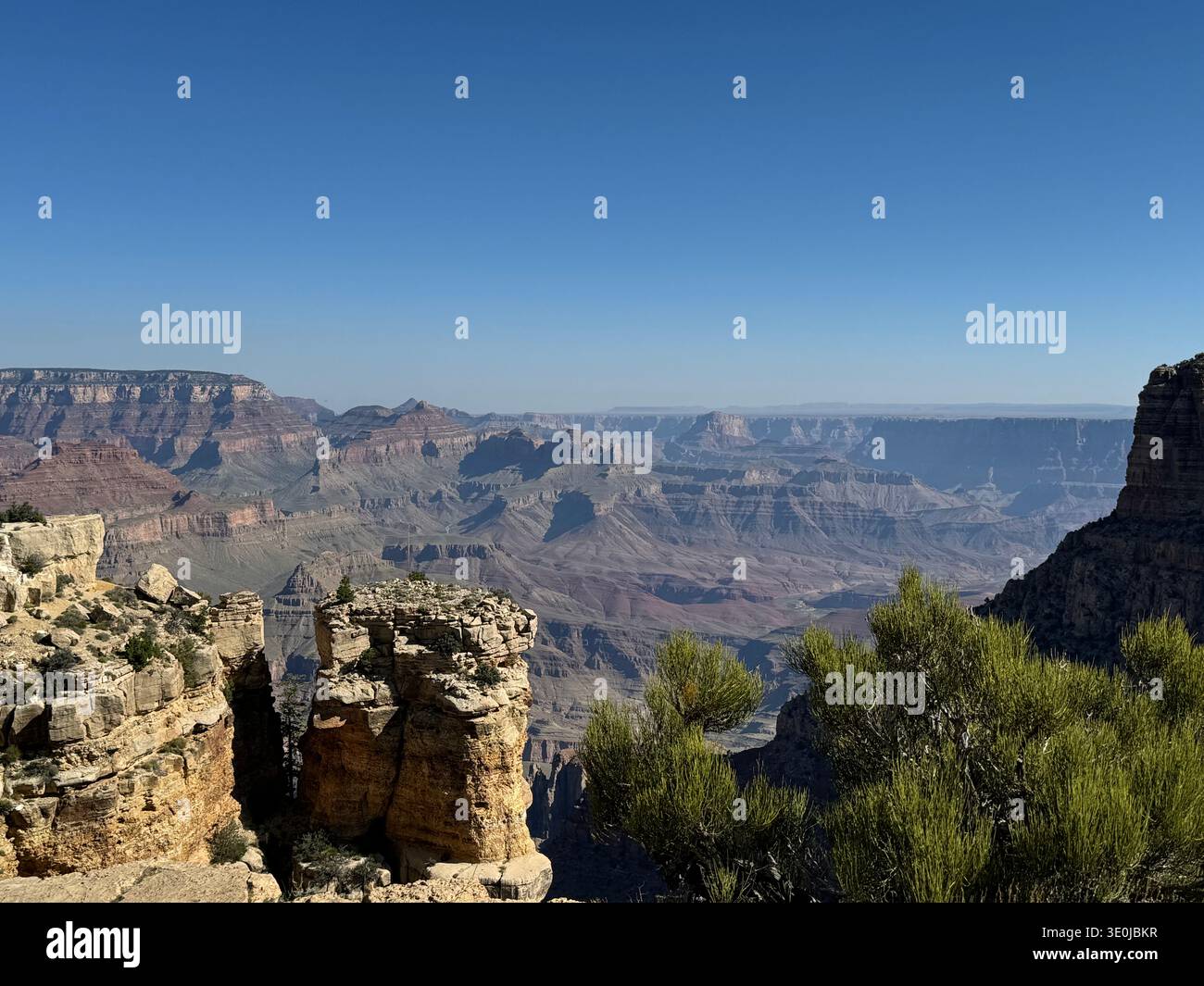 Weitläufiger Blick auf den Grand Canyon mit zerklüfteten Klippen und Wüstenvegetation unter einem klaren blauen Himmel, Arizona, USA. Stockfoto