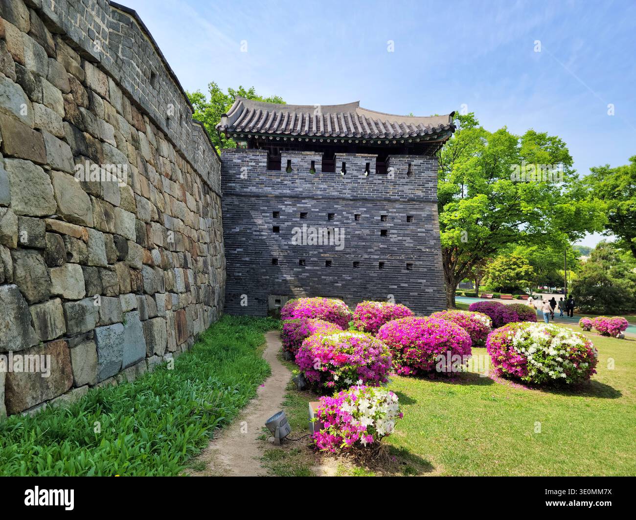 Suwon Südkorea 23. April 2024 UNESCO *'bukseoporu'* mit Azalea Suwon Hwaseong Fortress Wall Trail Stockfoto