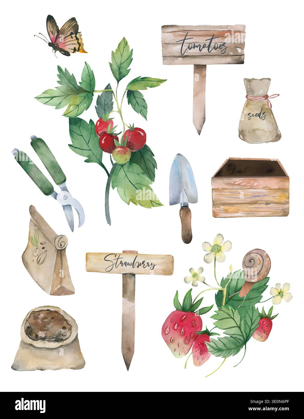 Frühlingsgemüse Garten Tomaten Pflanze Haus Vorbereitungsset Stockfoto