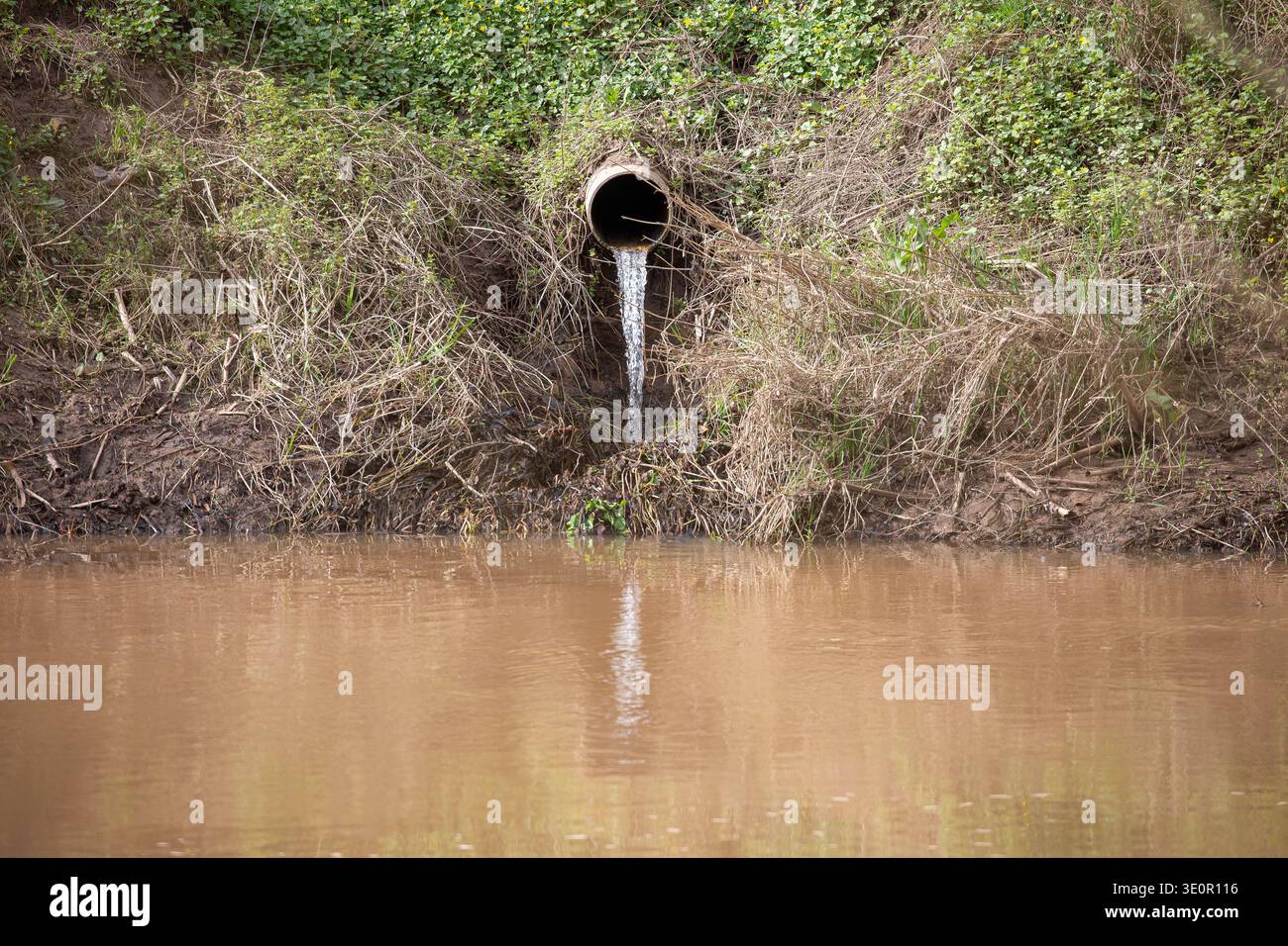 Regenwasserleitung, die in den Fluss Severn bei Bewdley geleitet wird. Wasser fließt in den Fluss Severn. Stockfoto