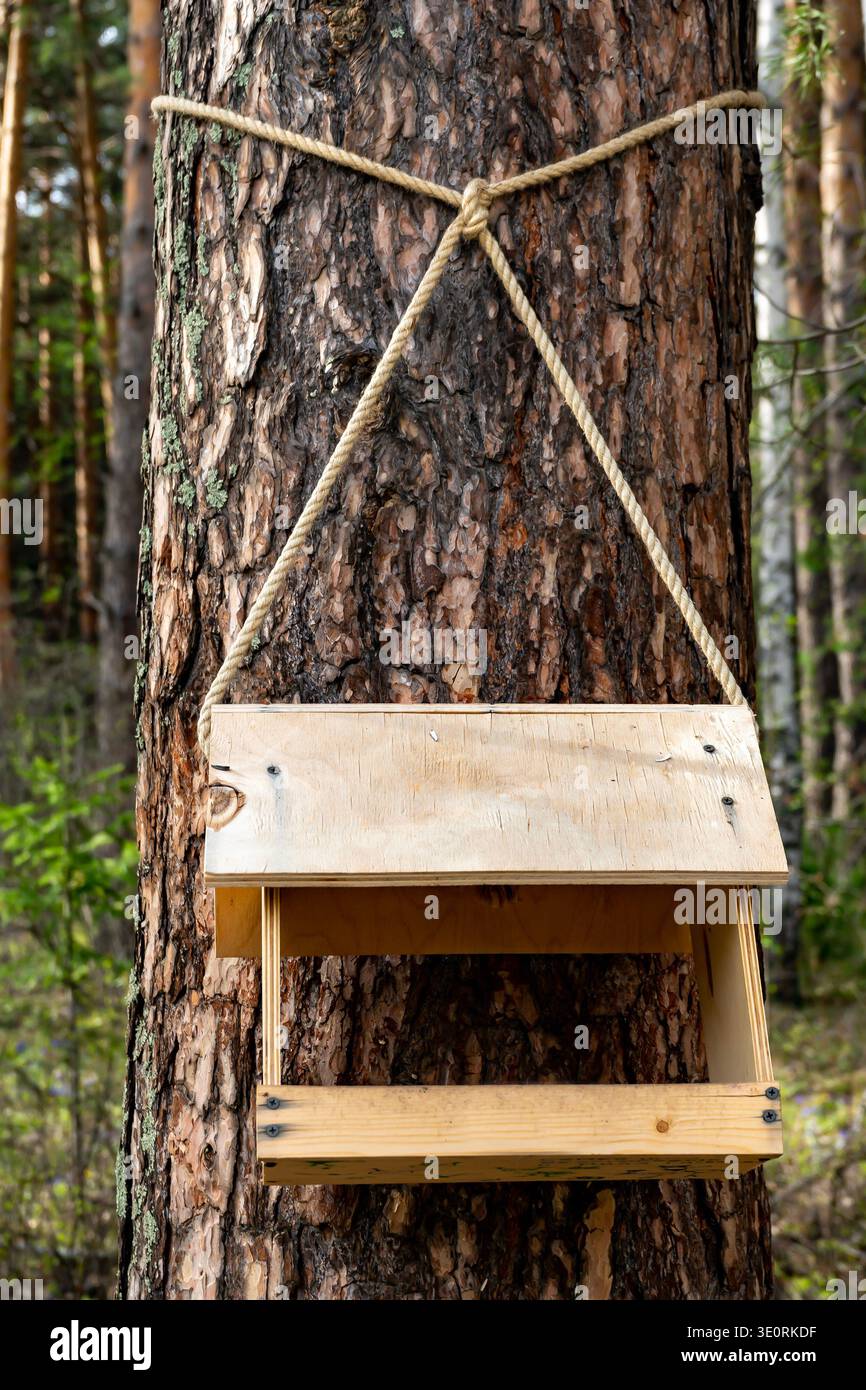 Handgefertigtes hölzernes Vogelfutter, das an einem festen Seil in einem ruhigen Wald an einem Kiefernstamm aufgehängt ist. Rustikaler Feeder schlägt vor, Hinterhof zu füttern, Wildtiere zu haben Stockfoto