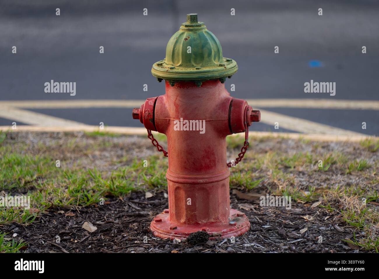 Roter Hydrant mit olivgrüner Kappe und seitlichen Auslässen, auf Mulch zwischen Gras und leicht verschwommenem Asphaltgrund Stockfoto