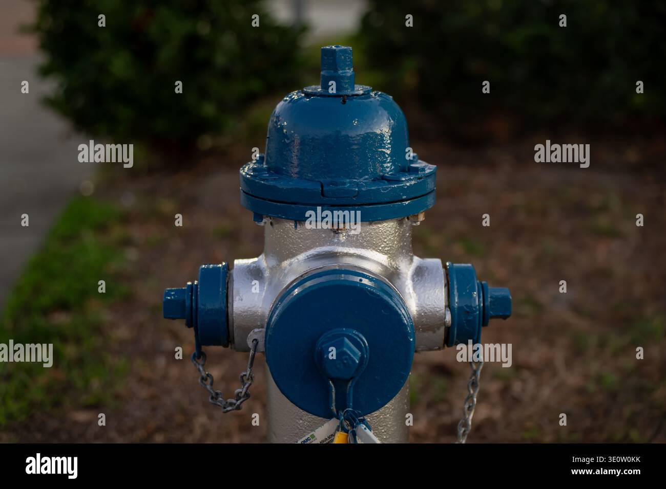 Blauer und silberner Hydrant mit geketteten Auslasskappen, zentriert auf einem sanft verschwommenen Mulch und grünem Hintergrund im Freien Stockfoto