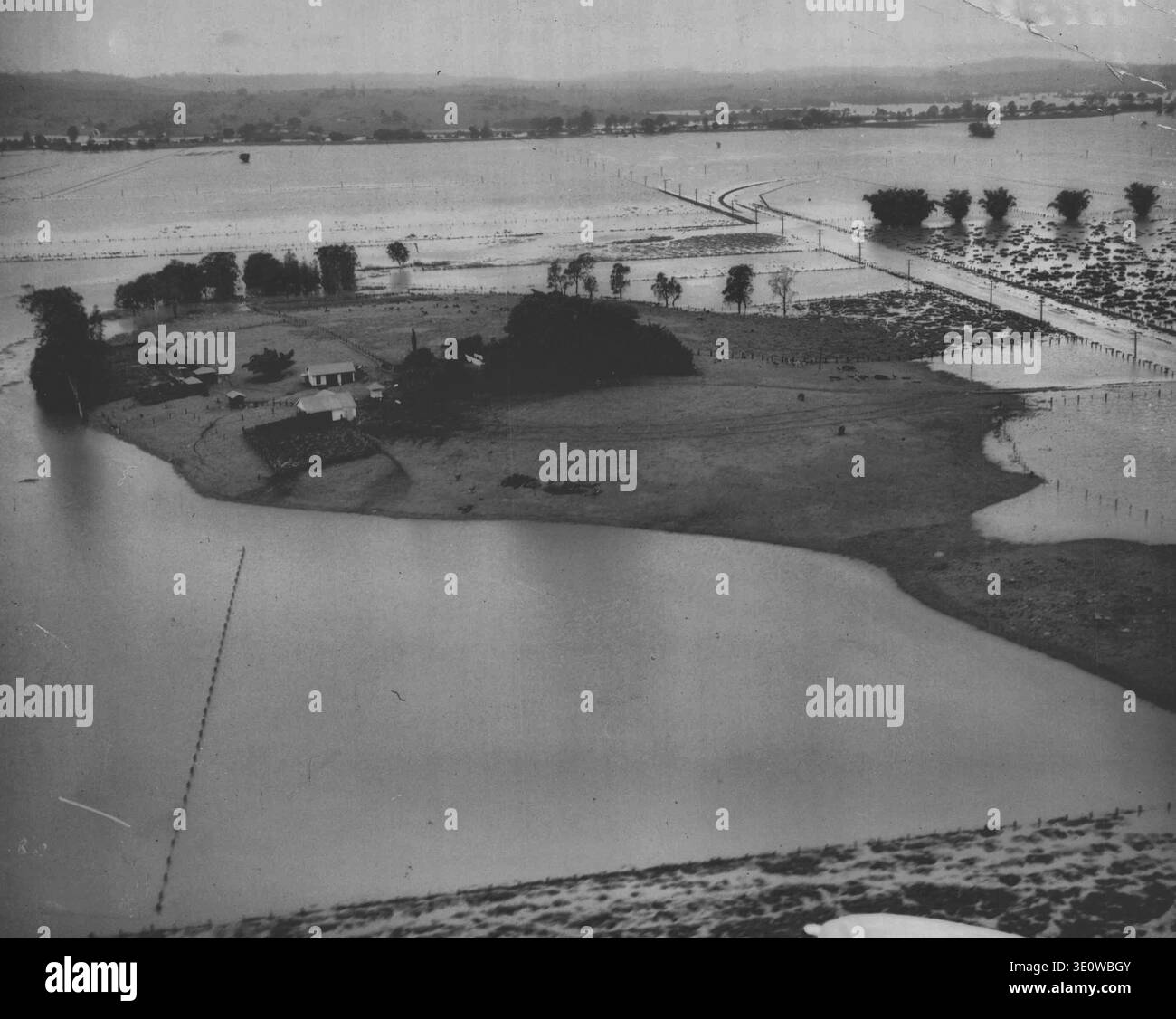 Erfundene Farm, 4½ regiert südöstlich von Lismore. Juni 1950. Stockfoto