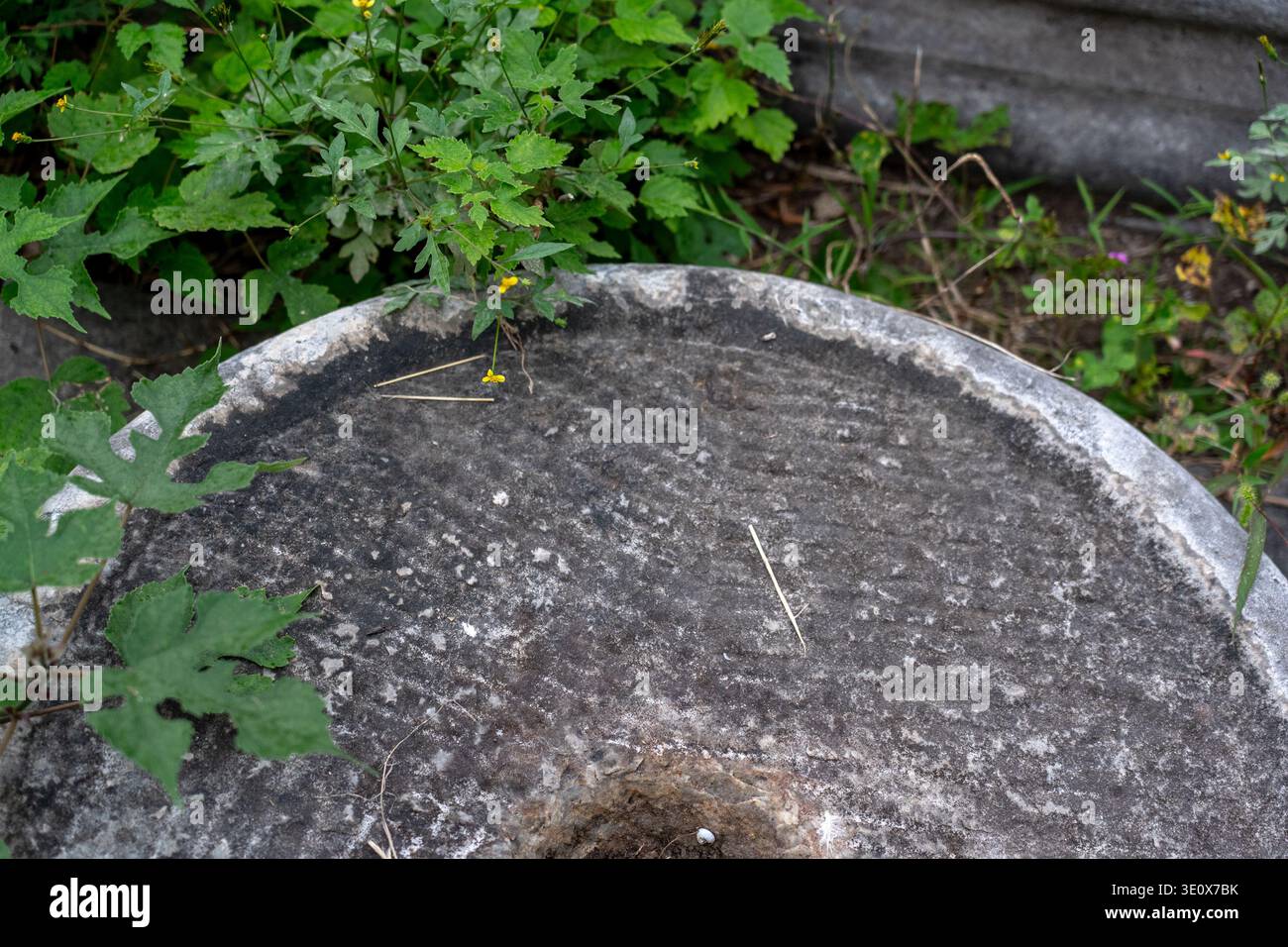 22. September 2025 - Peking, China: Eine verwitterte, runde Steinplatte in einem kaiserlichen chinesischen Garten, mit einem zentralen Loch und einer strukturierten Oberfläche Stockfoto