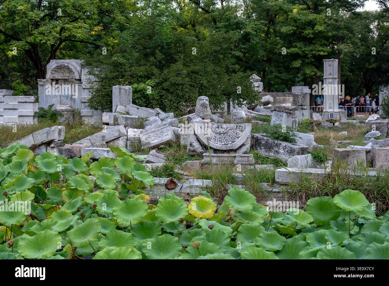 22. September 2025: Peking, China: Eine ruhige Szene der alten chinesischen Architektur im Yuanmingyuan, einem großen kaiserlichen Garten in Peking, China, dominiert Stockfoto