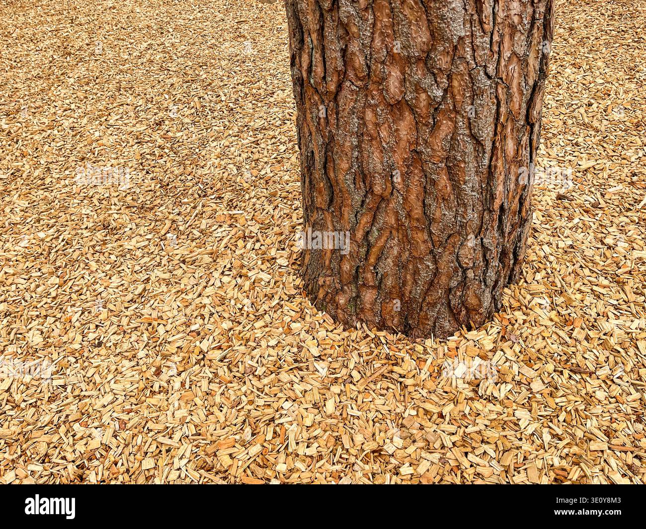 Holzspäne verschiedener Größen auf dem Boden auf einem Spielplatz, um eine weiche Oberfläche für Sicherheit zu bilden. Hintergründe - Smartphone-aufgenommenes Stockfoto