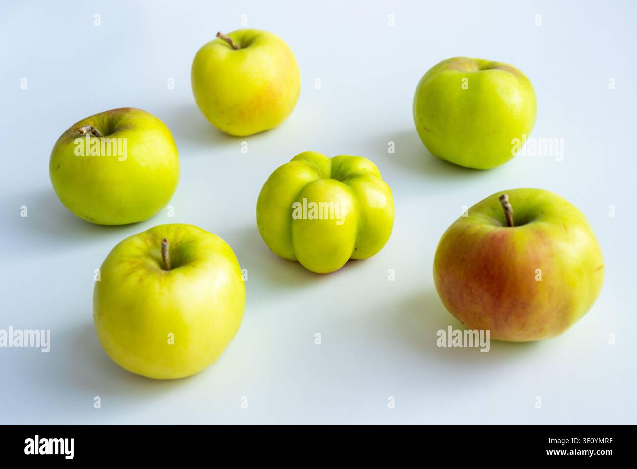 Der interessante, ungewöhnliche, seltsame Apfel. Ein hässlicher Apfel, umgeben von gewöhnlichen. Das Foto symbolisiert Individualität, Führungsstärke und persönlichen Charakter Stockfoto