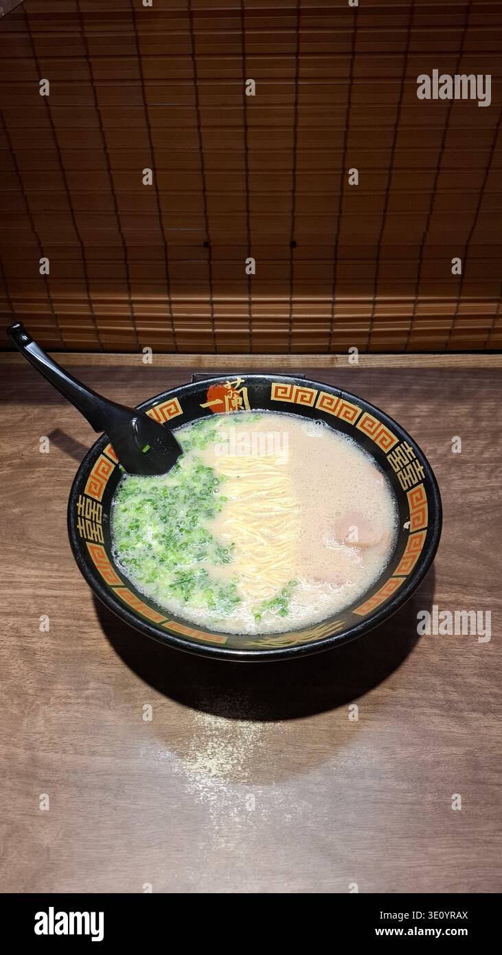 Klassischer japanischer Ramen in Tokio Chashu Schweinefleisch-Brühe und grünen Zwiebeln Stockfoto