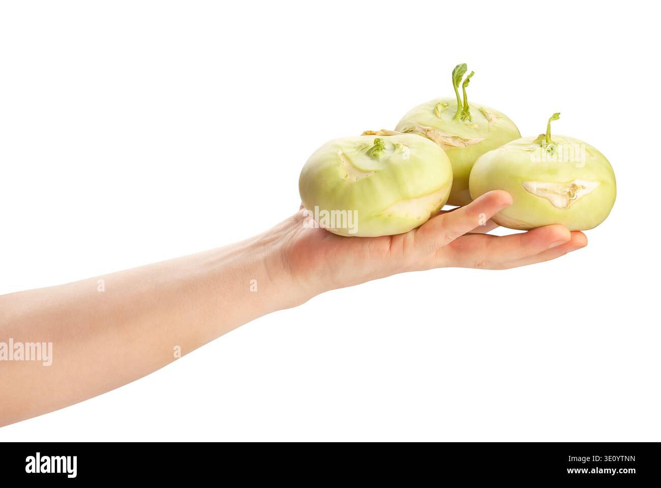 Kohlrabi in der Hand Weg isoliert auf weiß Stockfoto