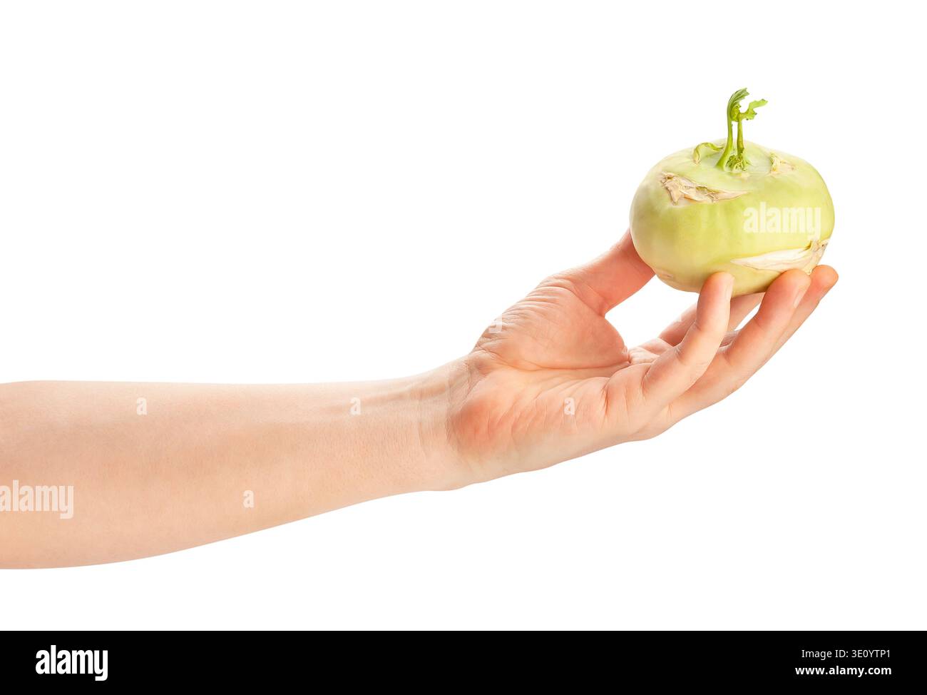 Kohlrabi in der Hand Weg isoliert auf weiß Stockfoto