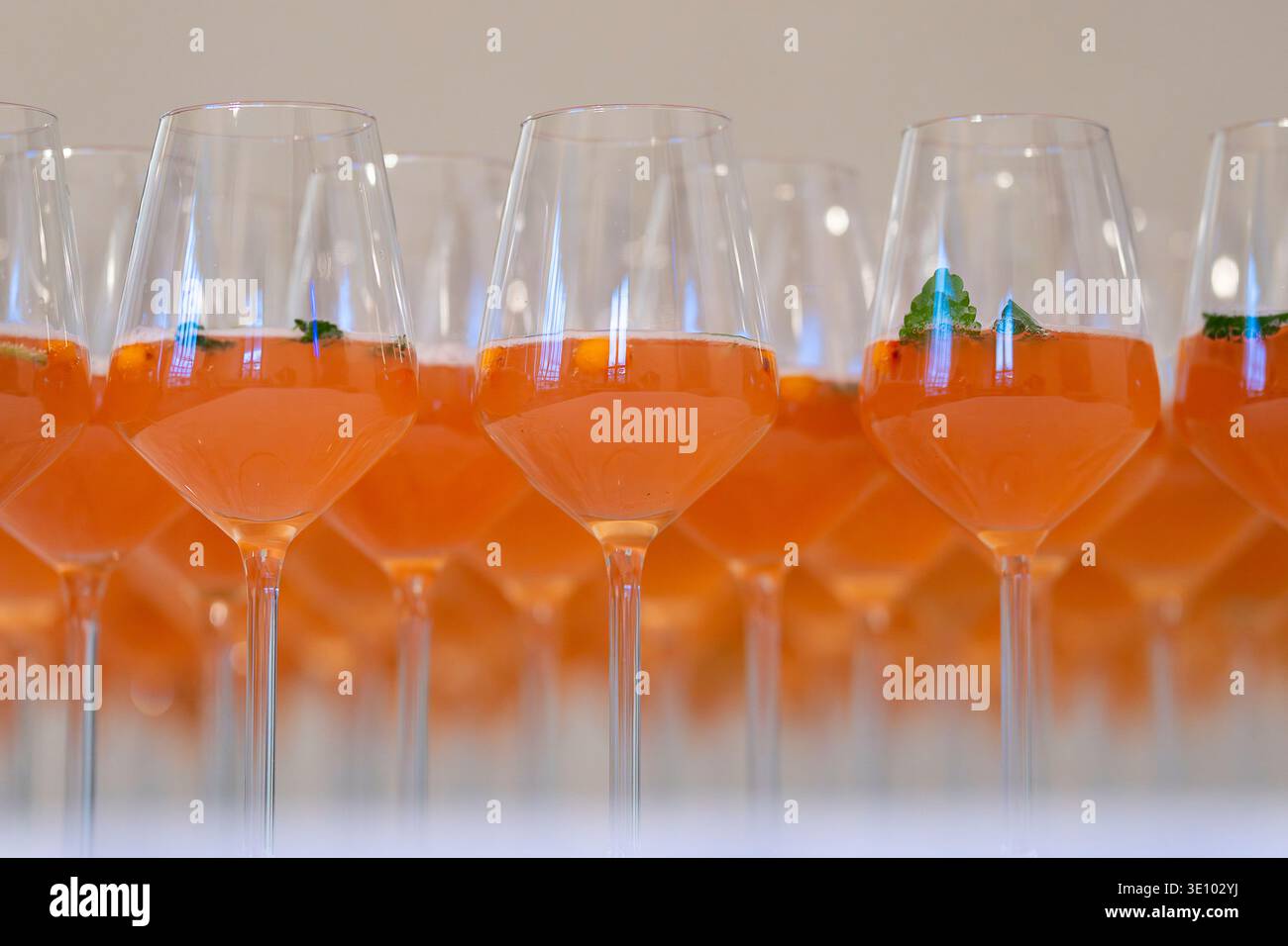Reihen von Begrüßungscocktails mit Sanddornsaft und frischer Minze, serviert in Weingläsern bei einer Veranstaltung mit Catering. Erfrischende Sanddorn-Begrüßungsgetränke. Stockfoto