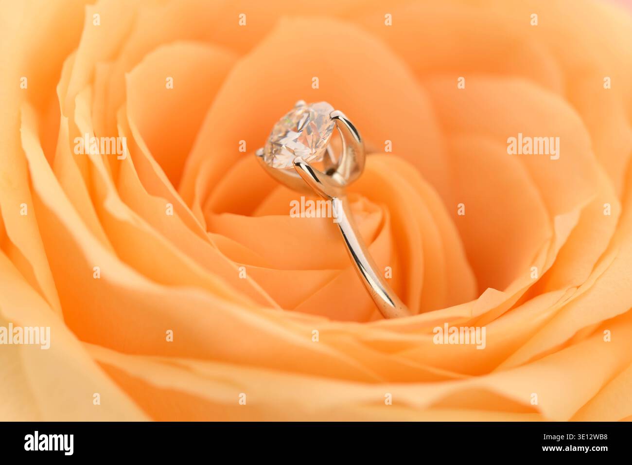 Einzelner Diamant-Ring in einer weichen orangen Rose. Die Rosenblüten sind zart und leicht verschwommen, was den Fokus auf den glänzenden, klaren Diamanten lenkt. Das m Stockfoto
