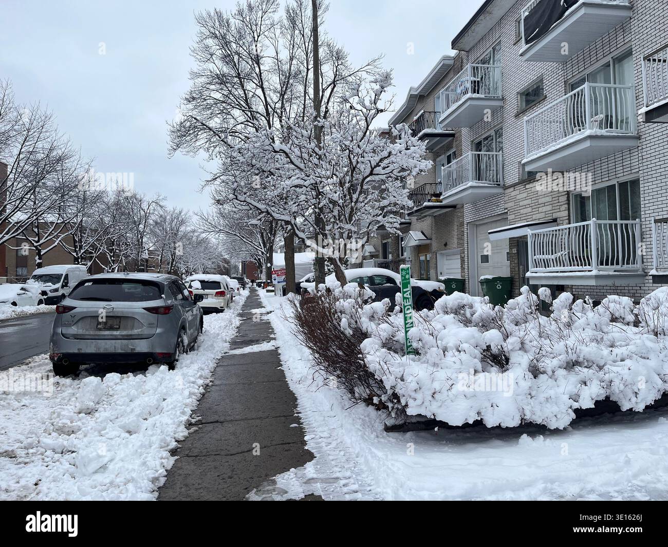 Allgemeine Ansicht einer bis zu 10 Zentimeter tief verschneiten Straße nach einem starken Schneefall in Montreal. Am 14. März 2026 in Montreal, Kanada. (Credit Image: © Horacio Zamora/eyepix via ZUMA Press Wire) NUR REDAKTIONELLE VERWENDUNG! Nicht für kommerzielle ZWECKE! Stockfoto