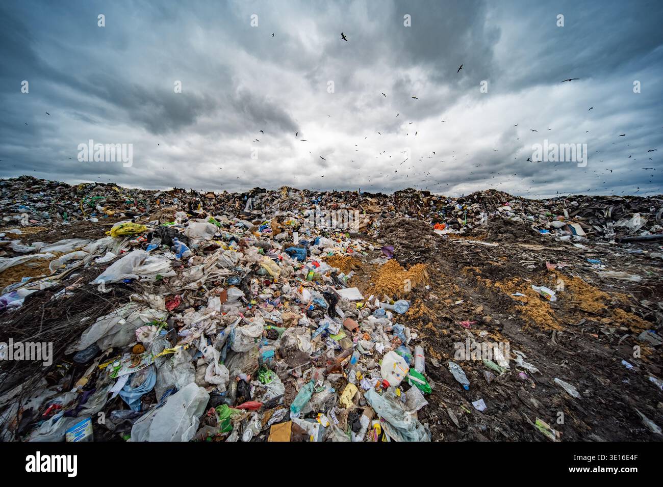 Deponien, die sich unter einem dramatischen Himmel erstrecken und Vögel fliegen, sorgen für Verschmutzungsgefahr Stockfoto