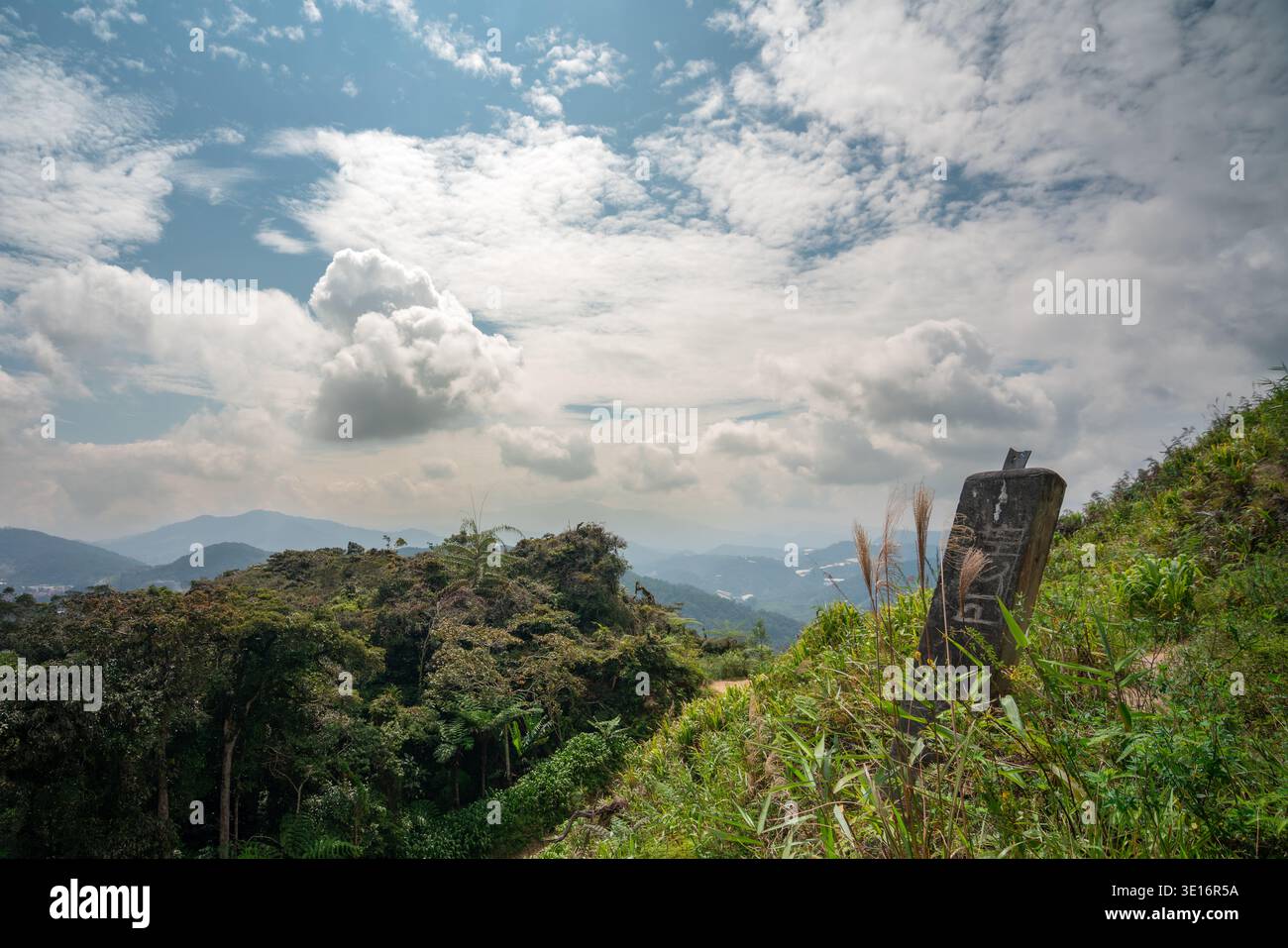 Tanah rata, Cameron Highlands, Malaysia – 27. Januar 2020: Trail 10 Marker auf einem grasbewachsenen Hügel. Stockfoto