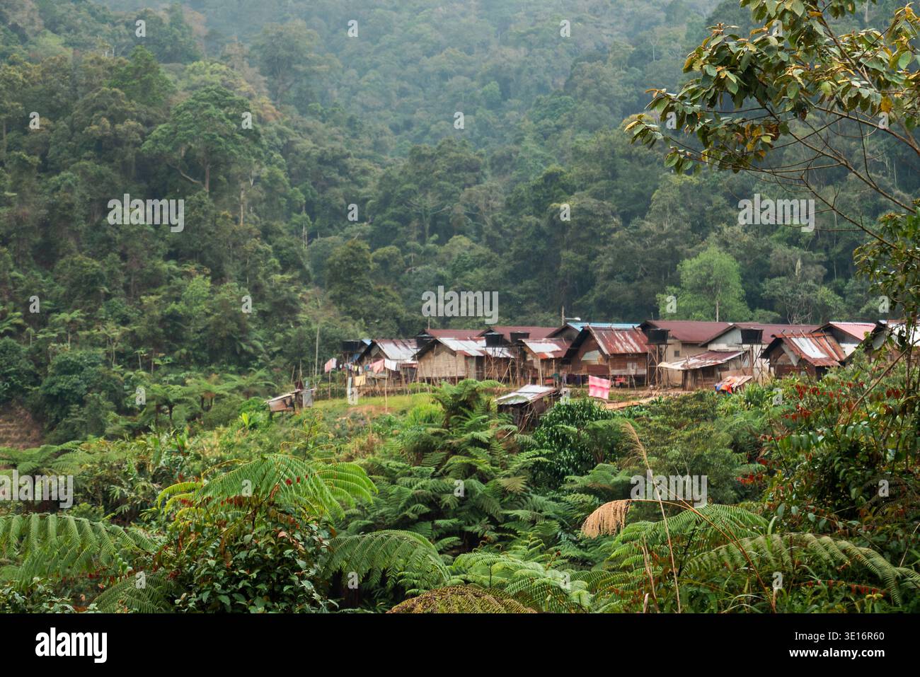 Tanah rata, Cameron Highlands, Malaysia – 27. Januar 2020: Landhäuser auf einem Hügel am Rande des dichten tropischen Waldes in den Cameron Highlands. Stockfoto