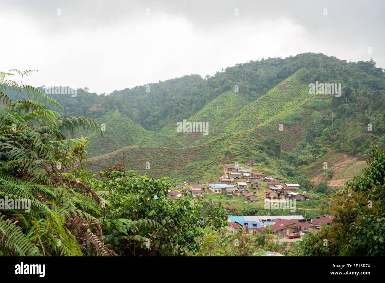 Tanah rata, Cameron Highlands, Malaysia – 27. Januar 2020: Blick auf ein ländliches Dorf am Fuße der grünen Terrassenhügel. Stockfoto