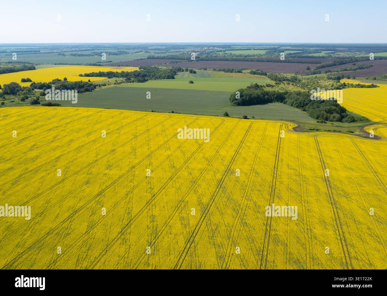 Landwirtschaftliche Landschaft während der Blütezeit, eine Kombination aus gelben, grünen und braunen Feldern Stockfoto