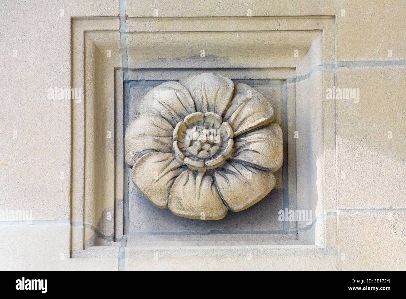 Dekoratives Steinblumen-Relief, das in eine historische Gebäudefassade geschnitzt wurde. Architektonisches Merkmal des Canada Permanent Trust Building in der Bay Street. Stockfoto