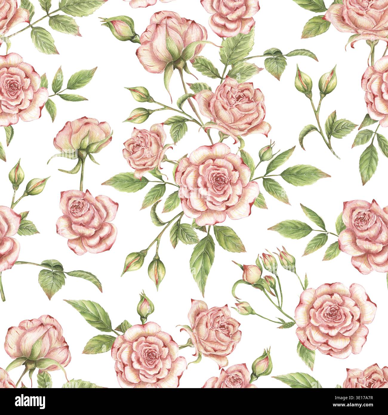 Aquarell zartes rosa Rosen nahtloses Muster, Blumenmuster, Vintage-Blumenmotiv, Gartenblüten-Druck Stockfoto