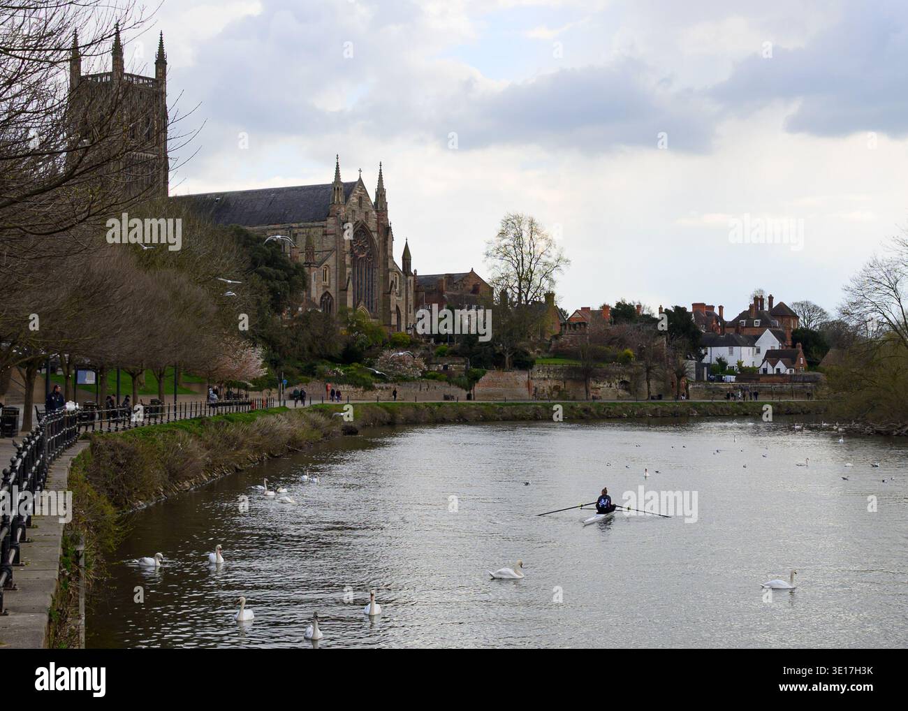 Ruderboot auf dem Fluss Severn in Worcester Stockfoto