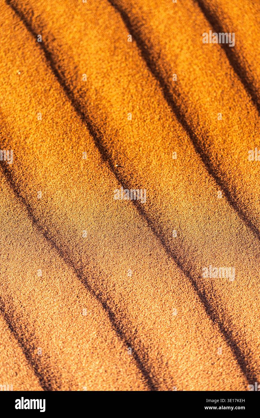Eine fesselnde Nahaufnahme aus Sand mit sich wiederholenden, welligen Linien erzeugt ein abstraktes Muster, das das Zusammenspiel von Licht und Schatten auf der strukturierten Struktur hervorhebt Stockfoto